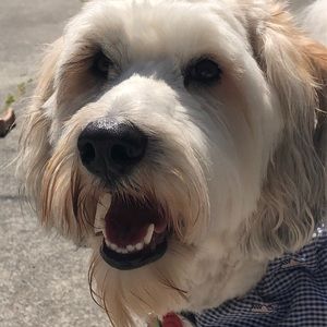 Meet your Posher, Kelly